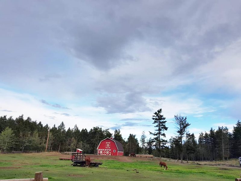 Gallery Spruce Hill Resort & Spa